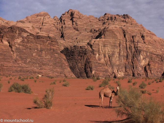 Иордания. Фотоотчет, часть 2. (веденин, mountschool, вади рам)