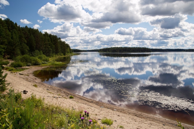 Shelter-trophy Карелия 2015 Обратная сторона. Дневник экспедиции. День четвертый (Путешествия)