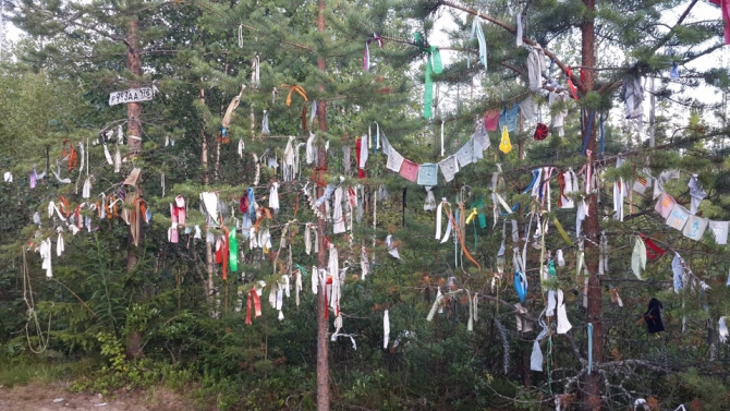 Shelter-trophy Карелия 2015 Обратная сторона. Дневник экспедиции. День четвертый (Путешествия)