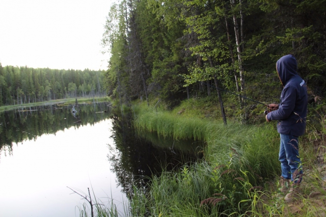Shelter-trophy Карелия 2015 Обратная сторона. Дневник экспедиции. День четвертый (Путешествия)