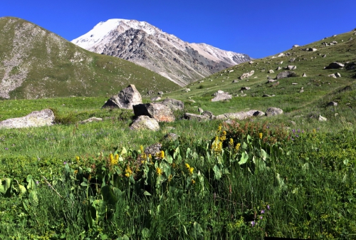 Видеоотчет о походе 2-ой категории по Заилийскому Алатау (Горный туризм, пвд, горный туризм, заилийский алатау, тянь-шань)