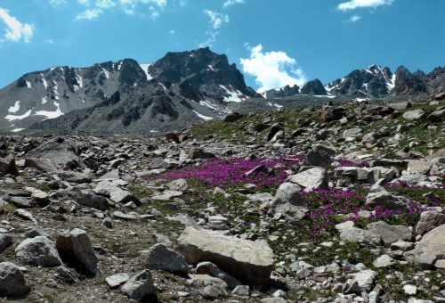 Видеоотчет о походе 2-ой категории по Заилийскому Алатау (Горный туризм, пвд, горный туризм, заилийский алатау, тянь-шань)