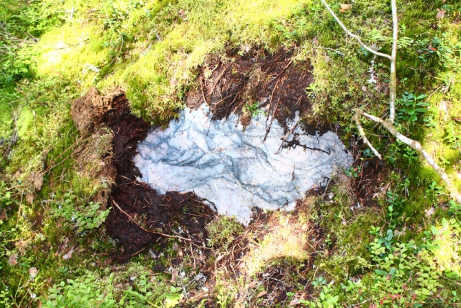 Shelter-trophy Карелия 2015 Обратная сторона. Дневник экспедиции. День пятый (Путешествия)