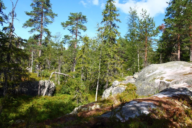 Shelter-trophy Карелия 2015 Обратная сторона. Дневник экспедиции. День пятый (Путешествия)