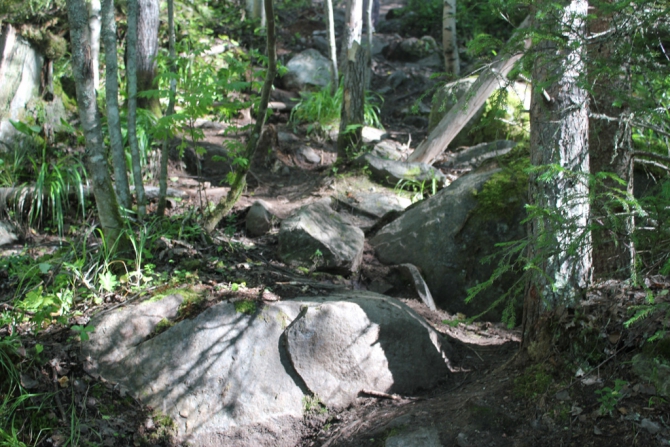 Shelter-trophy Карелия 2015 Обратная сторона. Дневник экспедиции. День пятый (Путешествия)