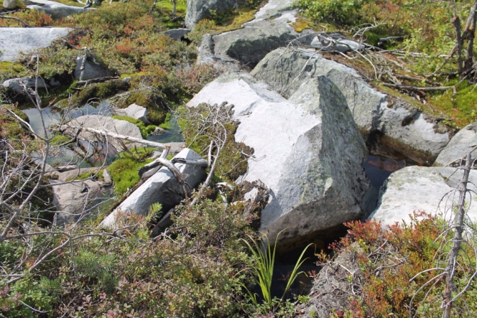 Shelter-trophy Карелия 2015 Обратная сторона. Дневник экспедиции. День пятый (Путешествия)