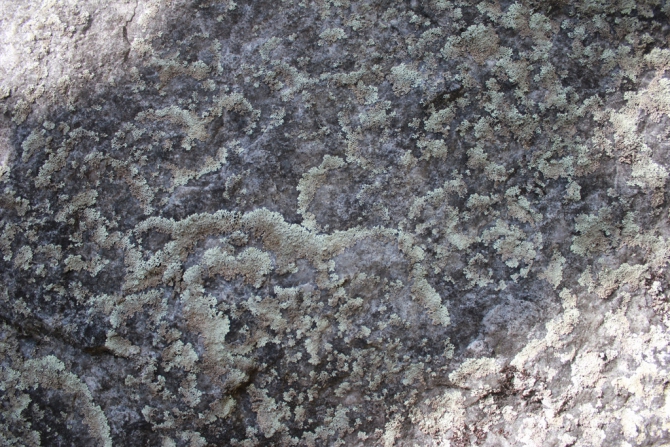 Shelter-trophy Карелия 2015 Обратная сторона. Дневник экспедиции. День пятый (Путешествия)