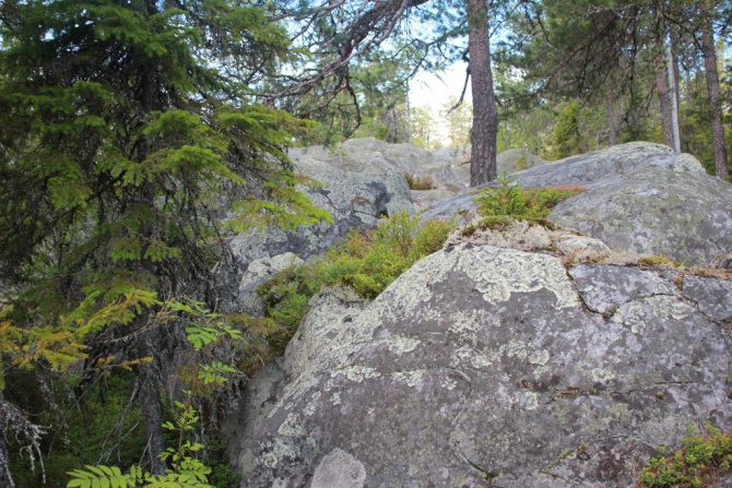 Shelter-trophy Карелия 2015 Обратная сторона. Дневник экспедиции. День пятый (Путешествия)