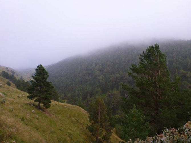 Впечатления новичка о восхождении на Эльбрус с севера 30/08/2014-08/09/2014. (Горный туризм)