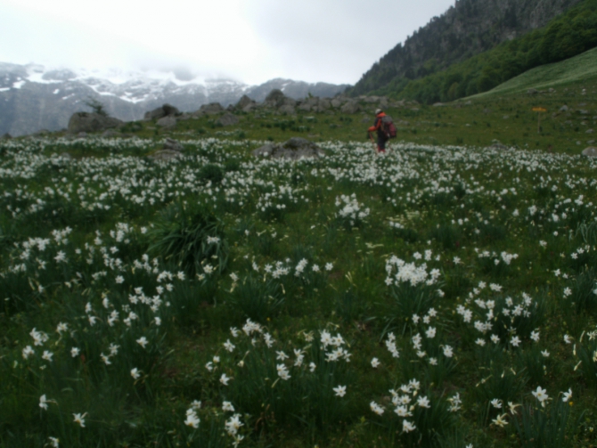 Пиренеи, май 2015. Разведка боем. (Путешествия)