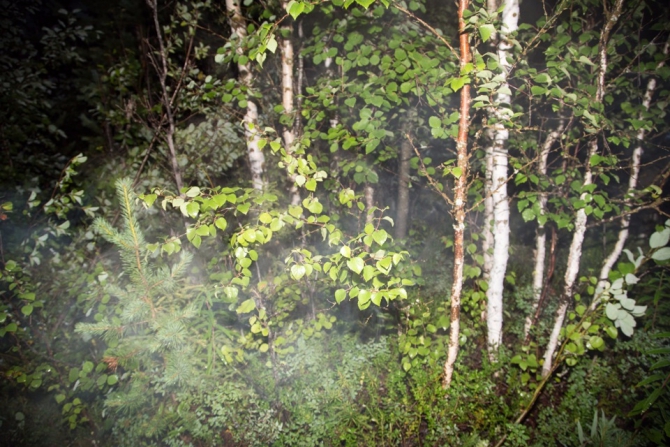 Дневник экспедиции Shelter-trophy. День шестой. (Путешествия)