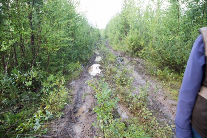 Дневник экспедиции Shelter-trophy. День седьмой. (Путешествия)