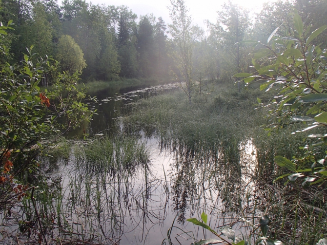 Дневник экспедиции Shelter-trophy. День седьмой. (Путешествия)