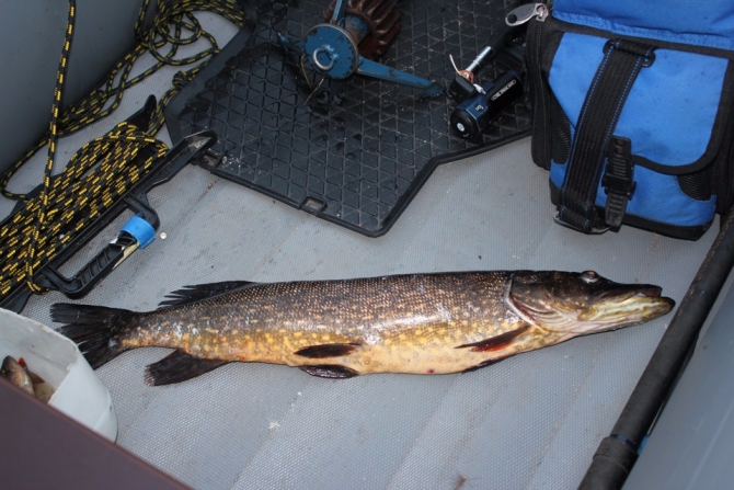 Дневник экспедиции Shelter-trophy. День восьмой (Путешествия)