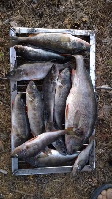 Дневник экспедиции Shelter-trophy. День восьмой (Путешествия)