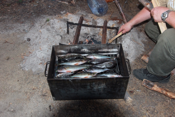 Дневник экспедиции Shelter-trophy. День восьмой (Путешествия)