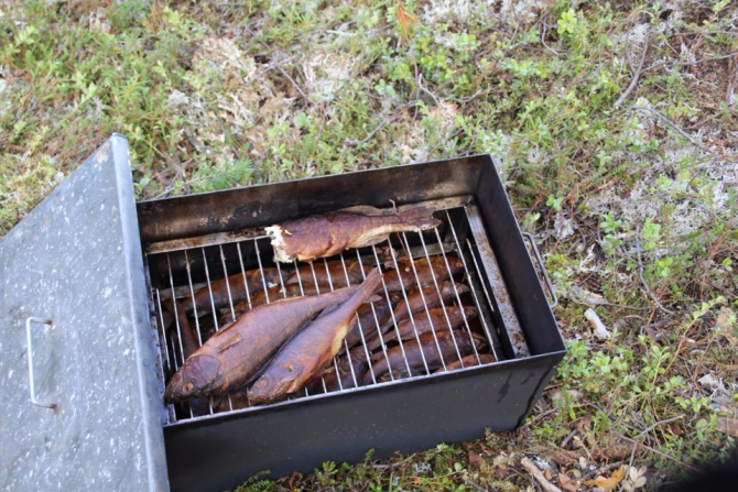 Дневник экспедиции Shelter-trophy. День восьмой (Путешествия)