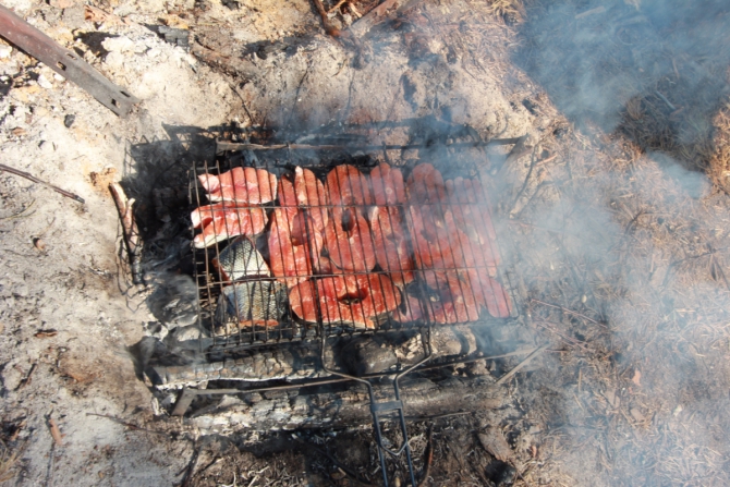 Дневник экспедиции Shelter-trophy. День восьмой (Путешествия)