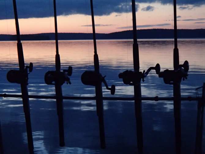 Дневник экспедиции Shelter-trophy. День восьмой (Путешествия)