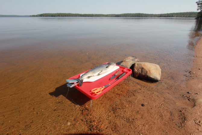 Дневник экспедиции Shelter-trophy. День восьмой (Путешествия)