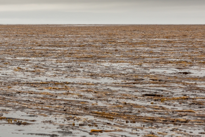 Северные Курильские острова и самые труднодоступные вулканы. (Вода)