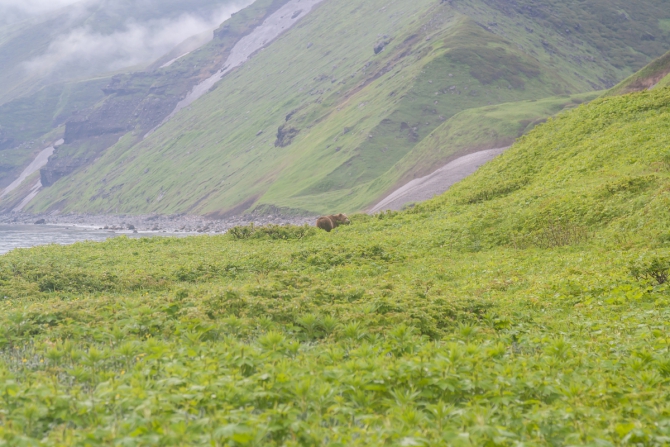 Северные Курильские острова и самые труднодоступные вулканы. (Вода)