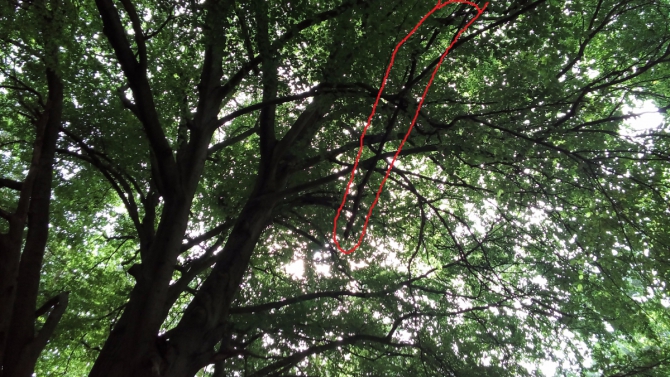 PhoneBusters. Берлин - Копенгаген, велотрип братьев из Смоленска и парня из Донецка.