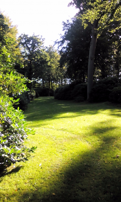 PhoneBusters. Берлин - Копенгаген, велотрип братьев из Смоленска и парня из Донецка.