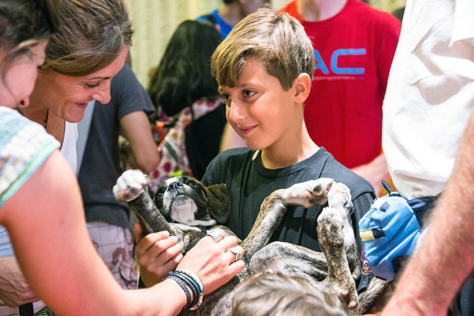 Скорость, азарт, счастье и горечь Rock Master!!! (Скалолазание, италия, события, arco rock legends, cac, юношеский чемпионат мира, фестиваль, скалолазы против рака, скалолазные оскары, крутые)