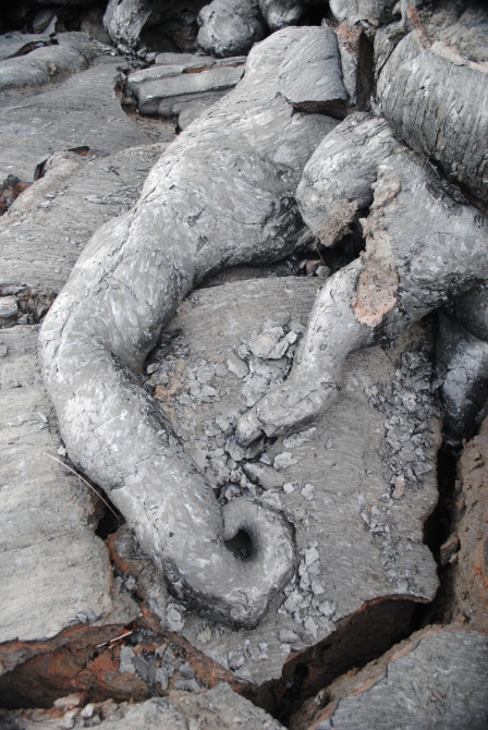 ТАКАЯ МНОГОЛИКАЯ КАМЧАТКА (Туризм, туризм, путешествия, вулканы)