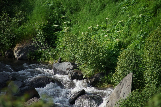 ТАКАЯ МНОГОЛИКАЯ КАМЧАТКА (Туризм, туризм, путешествия, вулканы)