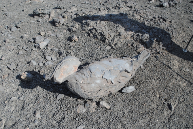 ТАКАЯ МНОГОЛИКАЯ КАМЧАТКА (Туризм, туризм, путешествия, вулканы)