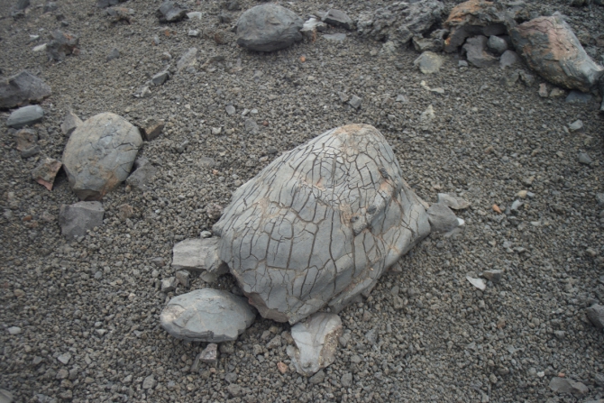 ТАКАЯ МНОГОЛИКАЯ КАМЧАТКА (Туризм, туризм, путешествия, вулканы)