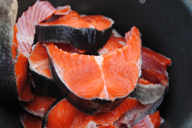 ТАКАЯ МНОГОЛИКАЯ КАМЧАТКА (Туризм, туризм, путешествия, вулканы)