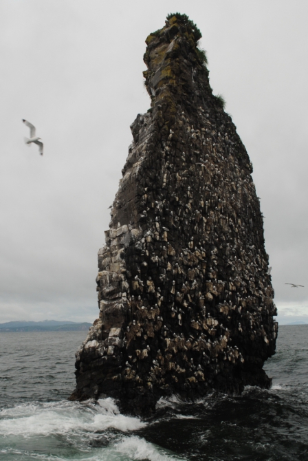 ТАКАЯ МНОГОЛИКАЯ КАМЧАТКА (Туризм, туризм, путешествия, вулканы)