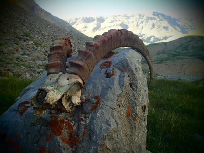 Дневник экспедиции ФАиС Москвы в район пика Белый, август 2015 (Альпинизм, пик белый, экспедиция, нилов, головченко, григорьев, лето, тянь-шань, кок-шаал тоо)