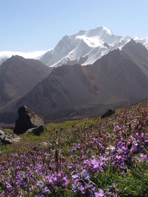 Как мы акклиматизировались перед Курумды. Пик Губаева (5368). (Альпинизм, горы азии, турклуб маи)