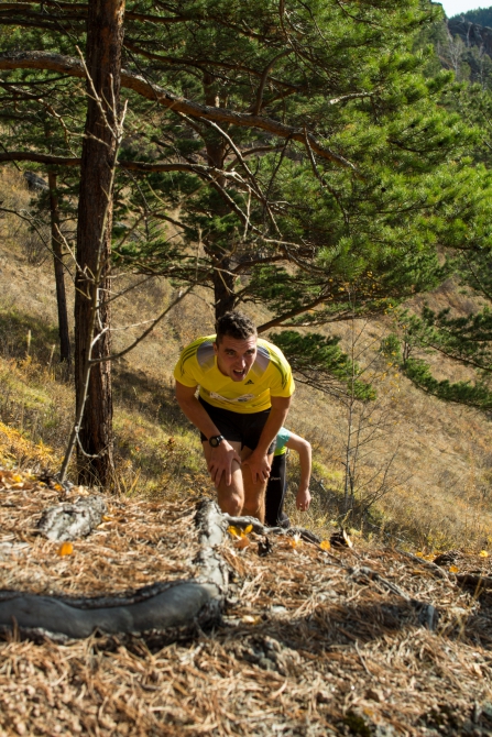 Кросс памяти Владимир Архипова и Петра Кузнецова 2015 (Скайраннинг, кка, столбы)
