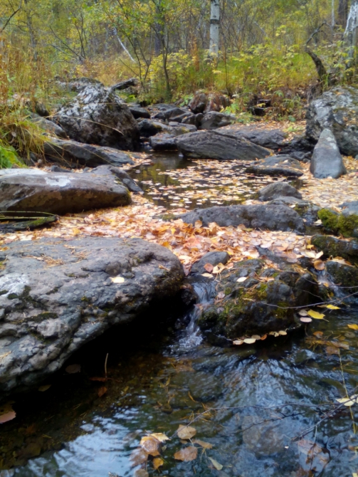 Золотая Осень Южного Урала (Мультигонки, горы и скалы, мультигонки, марафоны)