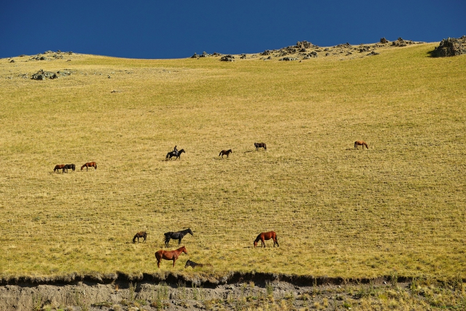 Эльбрус с севера (фото, Туризм)