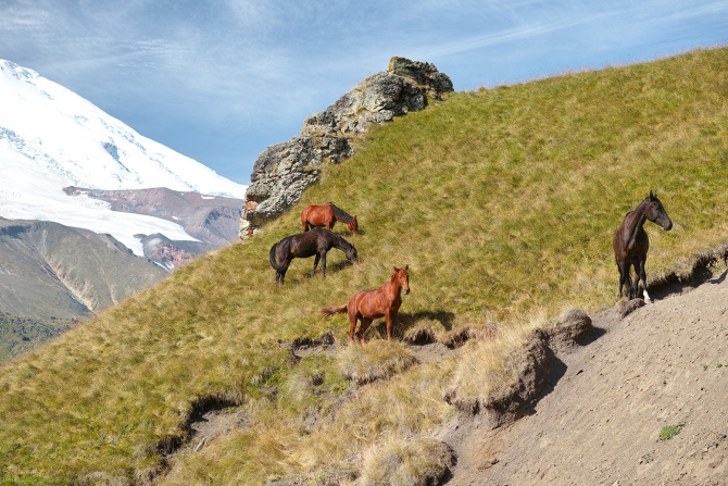 Эльбрус с севера (фото, Туризм)