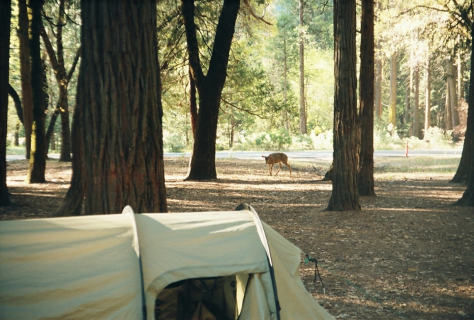 Записки физкультурника. Часть вторая (Альпинизм)