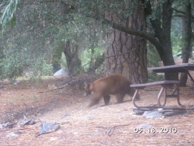 Записки физкультурника. Часть вторая (Альпинизм)