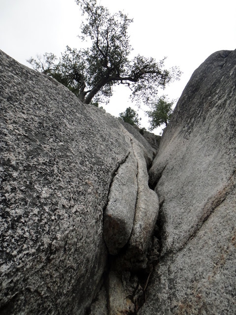 Записки физкультурника. Часть вторая (Альпинизм)