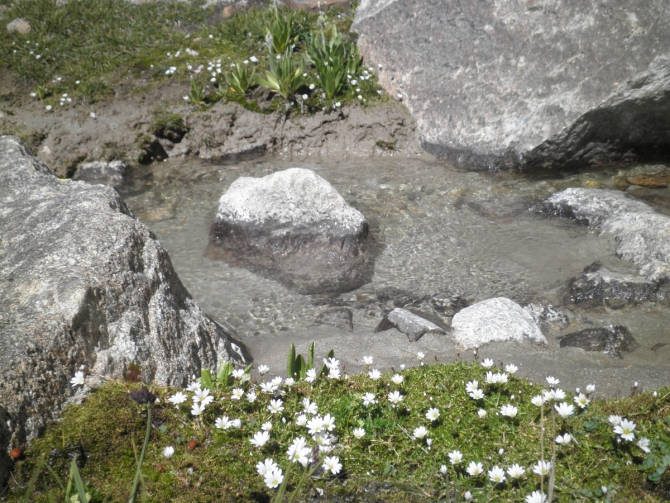 Безенги. Немного о Гидане или как Я стала альпинисткой (Альпинизм)