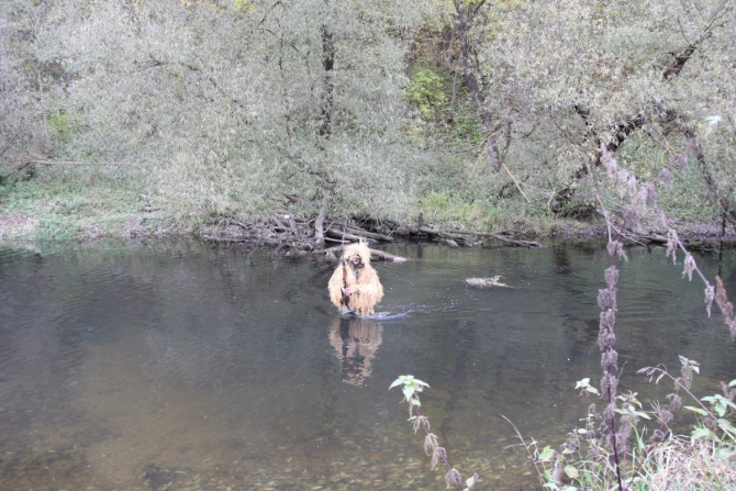 Неожиданный тест-драйв спальника или про охоту (Туризм)