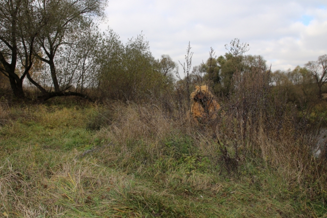 Неожиданный тест-драйв спальника или про охоту (Туризм)