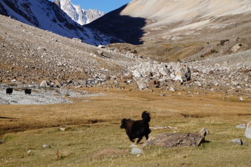 Саук-Джайляу часть 2. Заброски, подходы, маршруты. (Альпинизм)