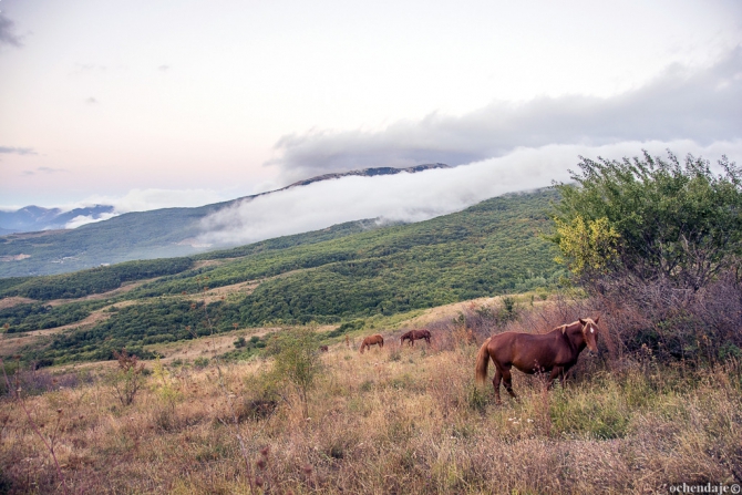 Как блогеры превратились в туристов? Поход в Крым. (Туризм, блогерподрюкзаком)