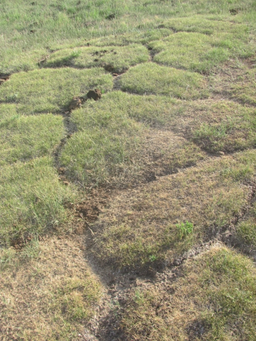 Велопутешествие вокруг Хубсугула